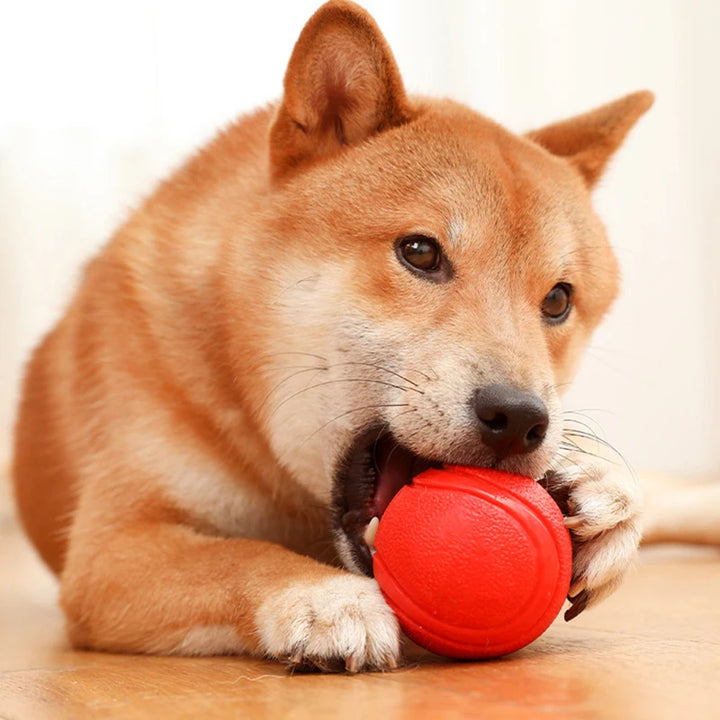 Indestructible Rubber Dog Ball – Chew-Proof Bouncy Toy (S–L Sizes)