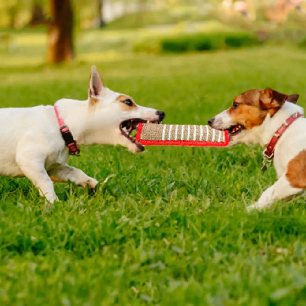Jaoseko Dog Bite Training Stick – Durable Tug Toy for Dog Training, Teeth Cleaning & Target Play