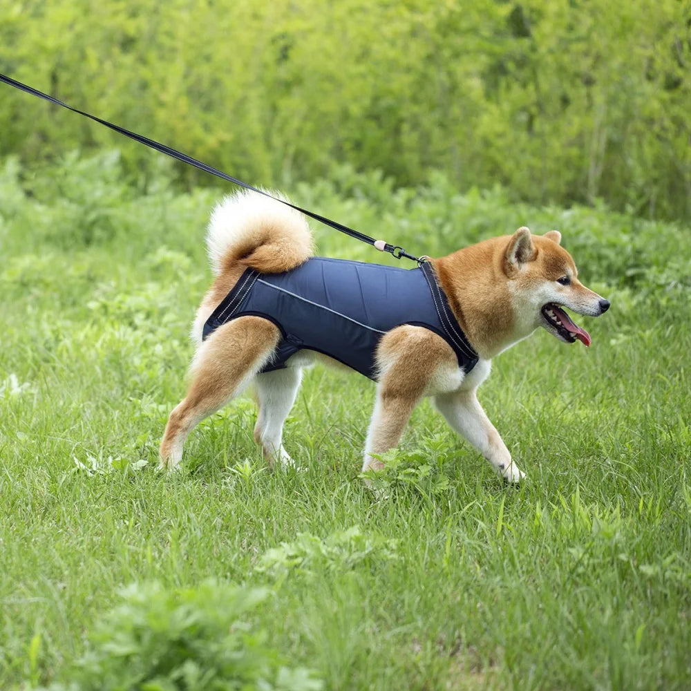 Dog Lift Harness Support Sling – Padded Aid for Disabled & Injured Dogs