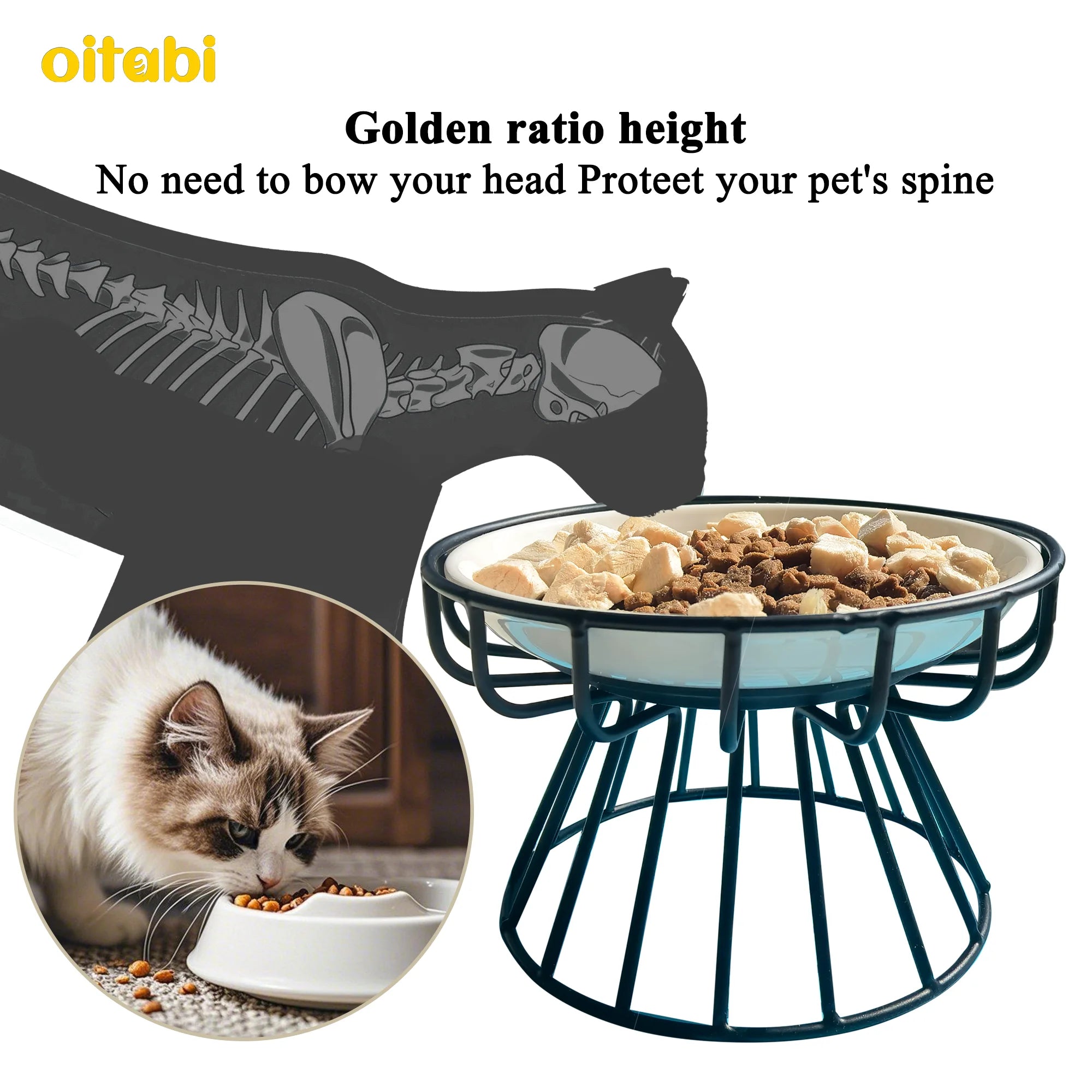 🐾 Oitabi Elevated Cat Bowls – Raised Ceramic Food Dishes with Metal Stand