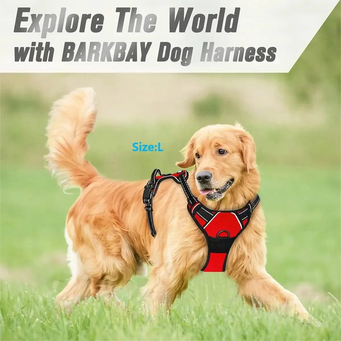 🐶 All-in-One Dog Collar, Harness & Leash Set – Leather Design for Small & Medium Dogs