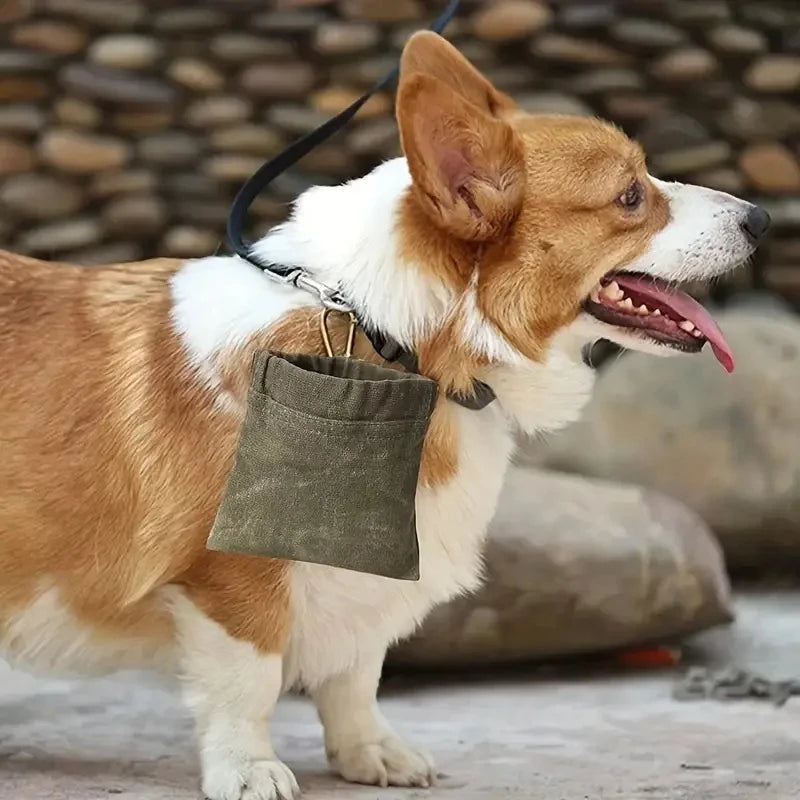 Dog Training Treat Pouch – Portable Snack Bag for Outdoor Travel & Training