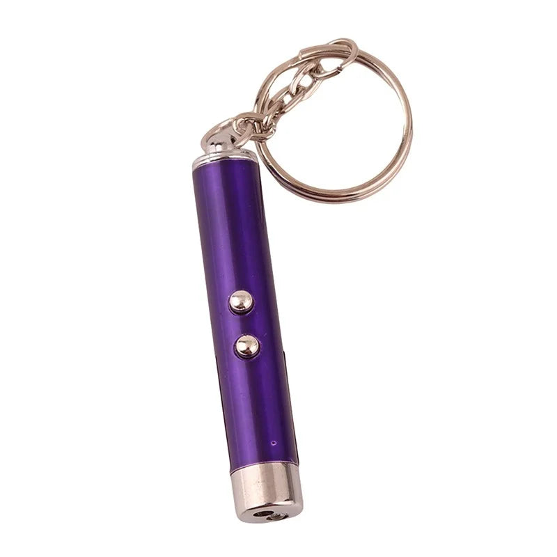 2-in-1 Mini Red Light Laser Pointer LED Torch – Cat & Dog Training Interactive Pet Toy Pen