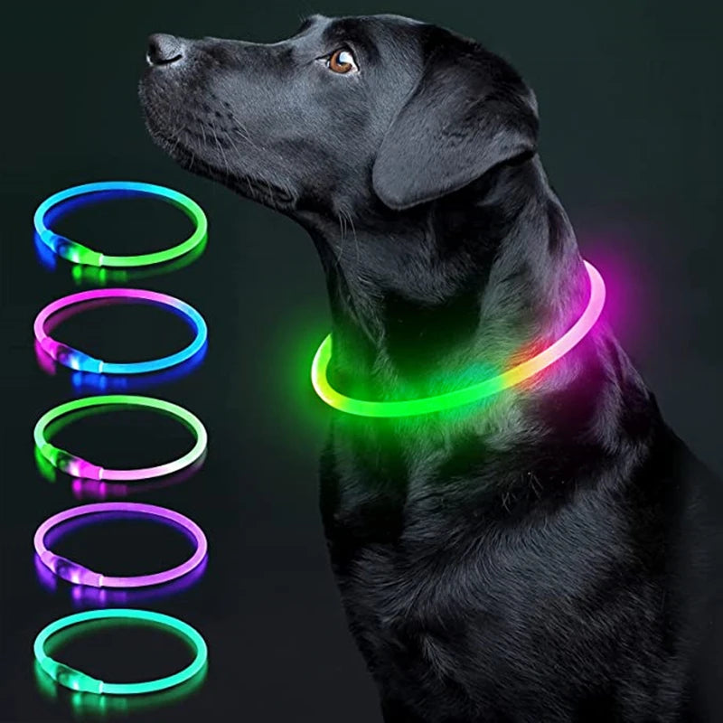 USB Rechargeable LED Glowing Pet Collar – Adjustable Night Light Safety Collar for Dogs & Cats