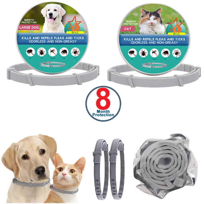USB Rechargeable LED Glowing Pet Collar – Adjustable Night Light Safety Collar for Dogs & Cats