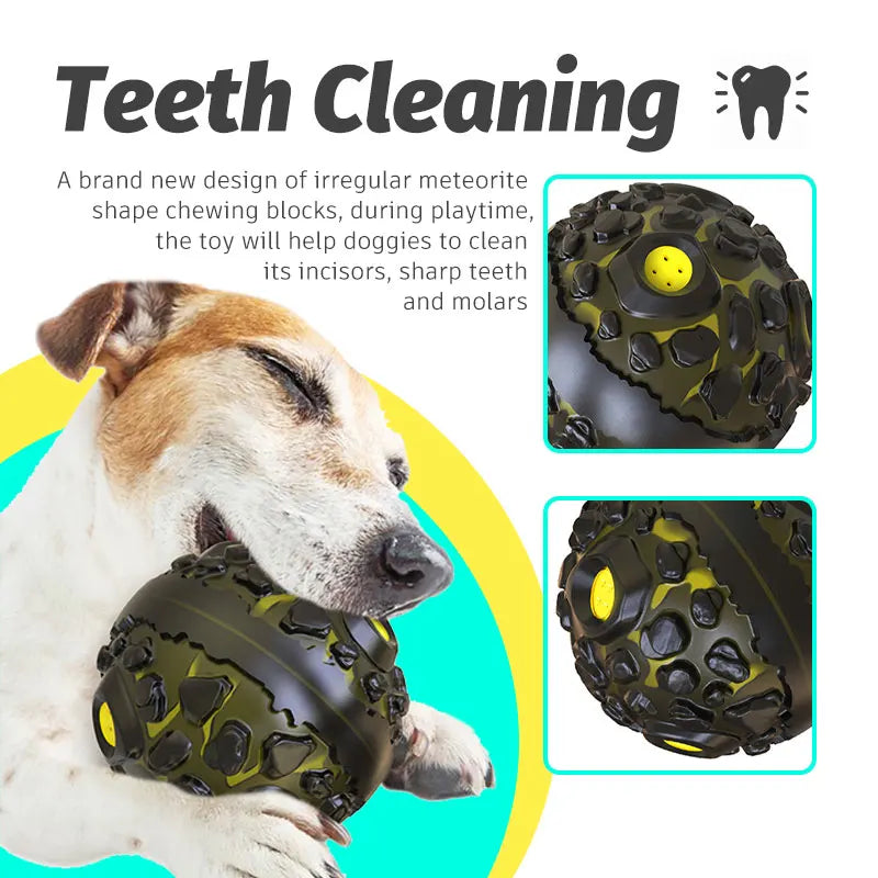 Natural Rubber Dog Chew Ball – Squeaky Interactive Toy for Teeth Cleaning & Play – For Small, Medium & Large Dogs