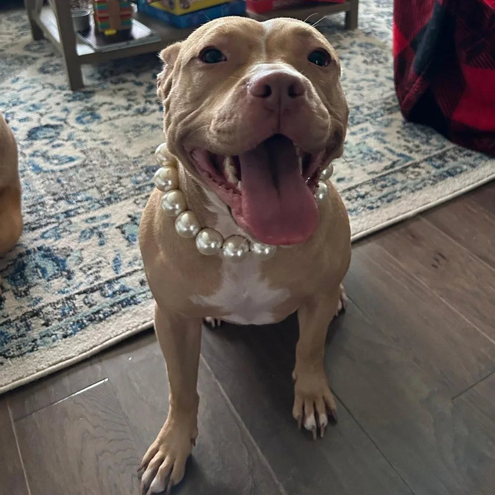 Elegant Imitation Pearl Pet Collar – Durable Decorative Necklace for Small Dogs & Cats