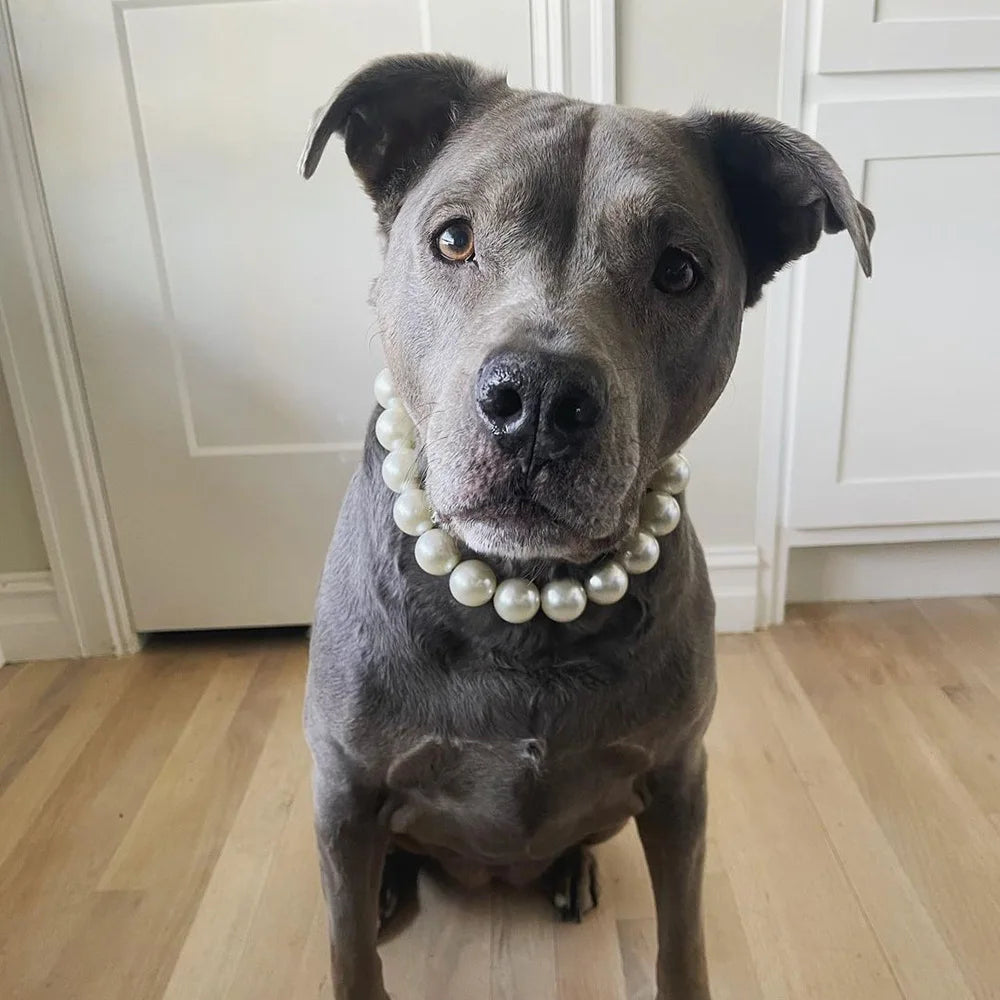 Elegant Imitation Pearl Pet Collar – Durable Decorative Necklace for Small Dogs & Cats