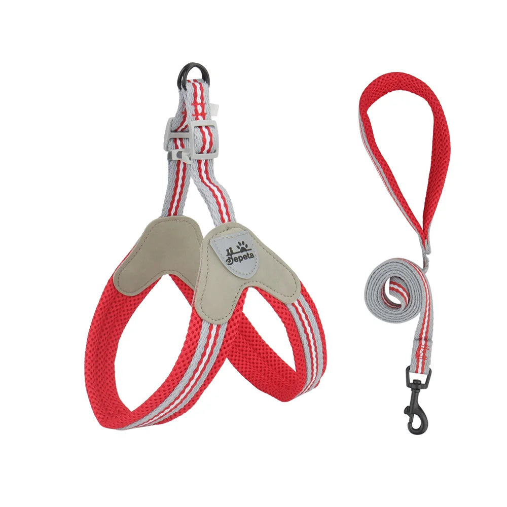 🐾 Vest Style Dog Harness & Leash Set – Adjustable Chest Strap for Small & Medium Dogs