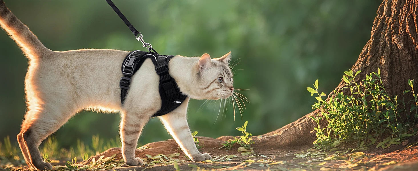 Cat Harness and Leash – Escape-Proof Soft Adjustable Vest with Easy Control
