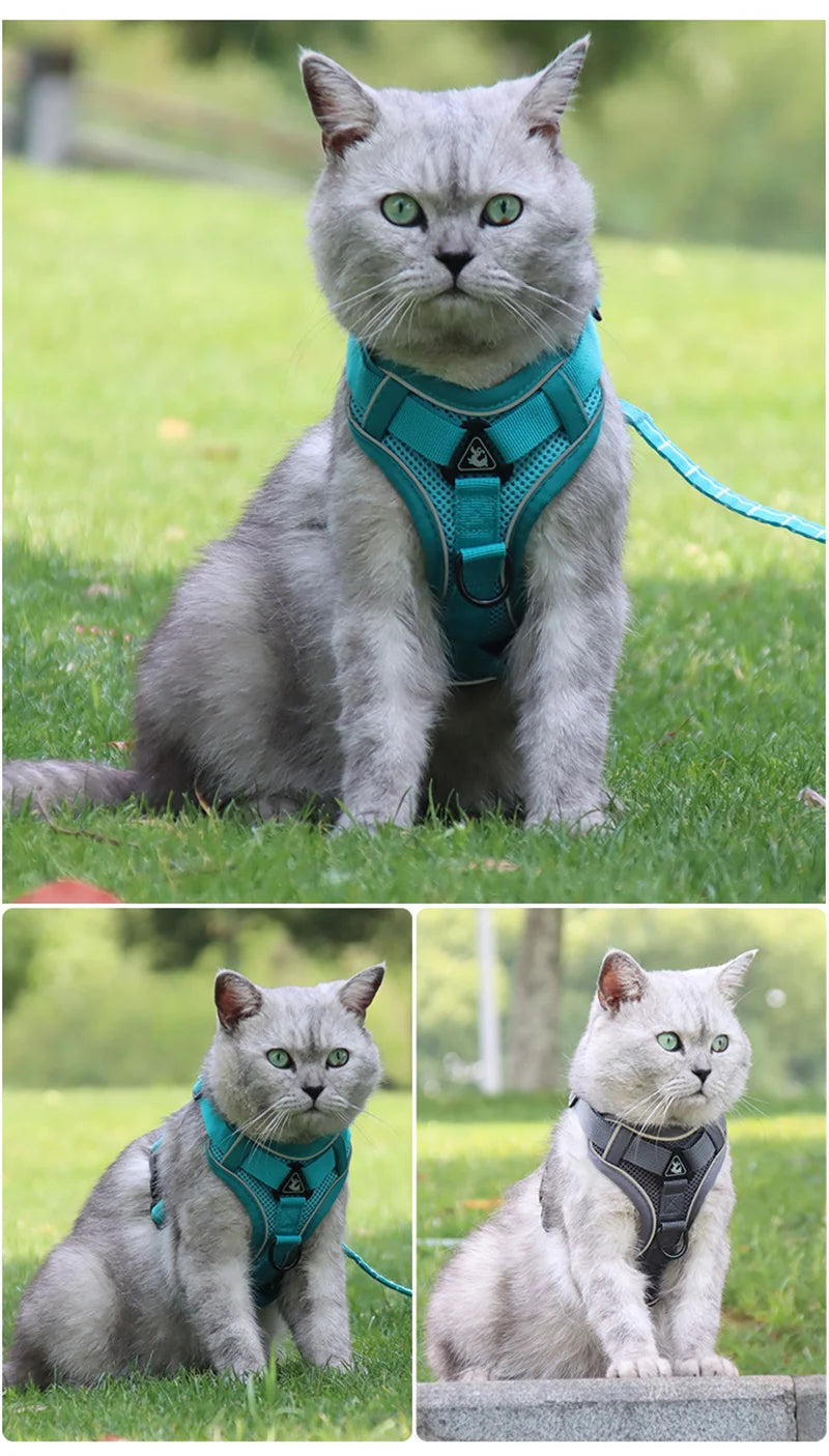 🐾 Fashion Reflective Cat Harness & Leash Set – Breathable Mesh for Cats & Small Dogs