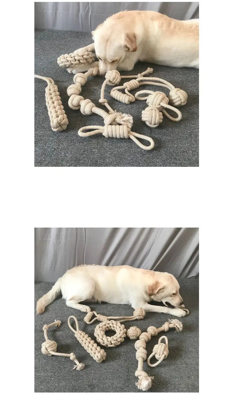 Knot Chew Toy – Teeth Cleaning & Interactive Play for Pets 🪢🐾