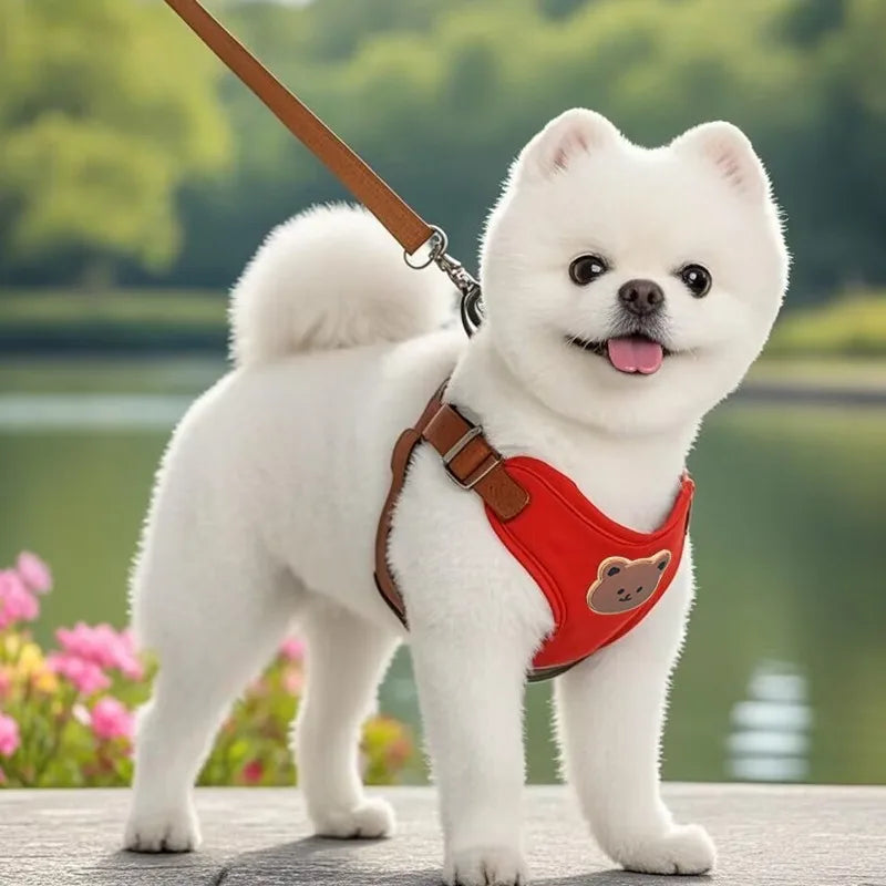🐾 Breathable Pet Dog Harness & Leash Set – For Small & Medium Dogs & Cats