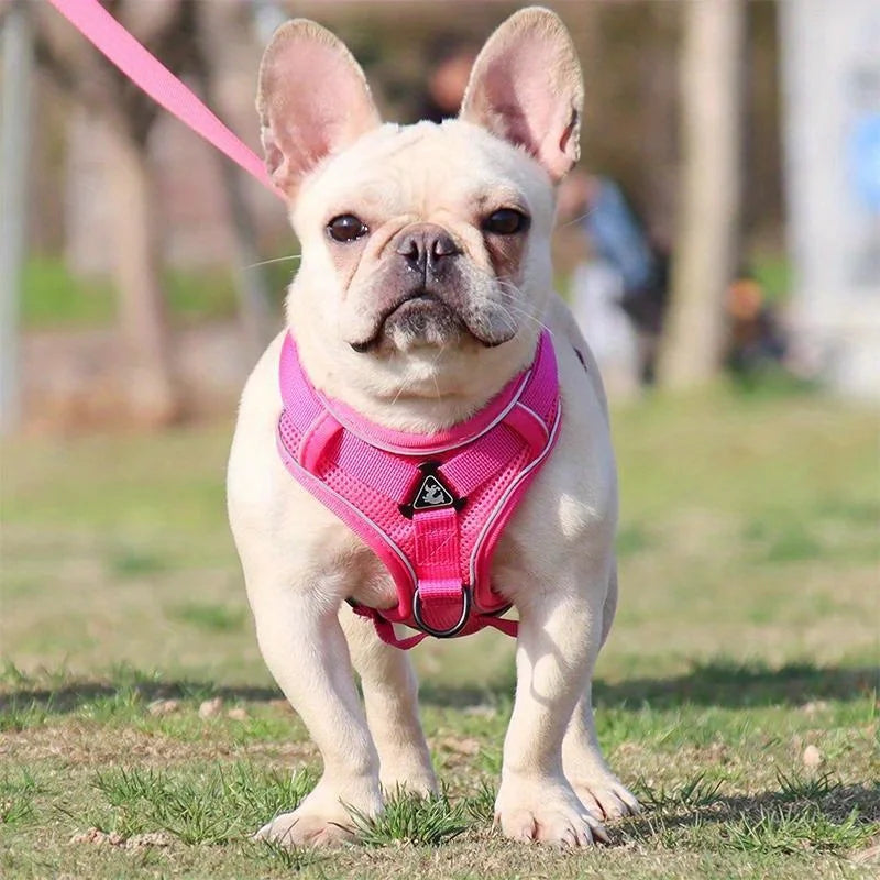 🐾 No Pull Dog Harness & Leash Set – Adjustable Reflective Vest for Small Dogs & Cats