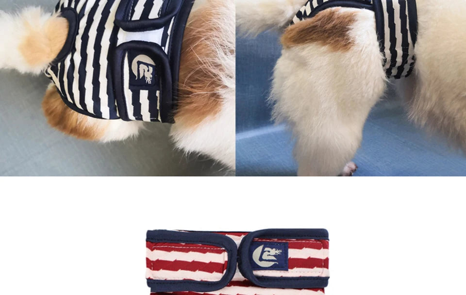 Washable Dog Diaper Shorts – Female Sanitary Panties for Menstruation