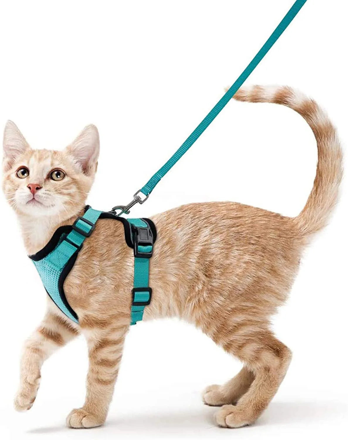 Cat Harness and Leash – Escape-Proof Soft Adjustable Vest with Easy Control