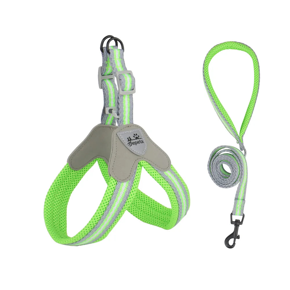 🐾 Vest Style Dog Harness & Leash Set – Adjustable Chest Strap for Small & Medium Dogs