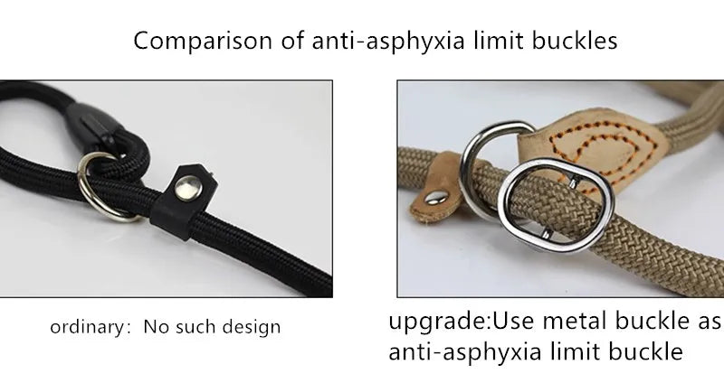 Heavy Duty Slip Rope Dog Leash – Braided Adjustable Training Lead with Loop Collar for Medium & Large Dogs