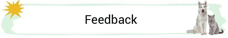 🧸 Plush Dog Toys – Squeaky Soft Pet Chew Toys (Ice Cream, Fries, Hamburger)