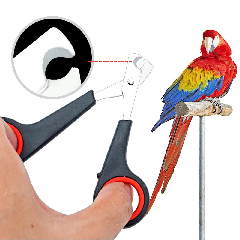 Pet Nail Clippers – Professional Claw Cutter for Dogs, Cats, Birds, Guinea Pigs & Small Animals