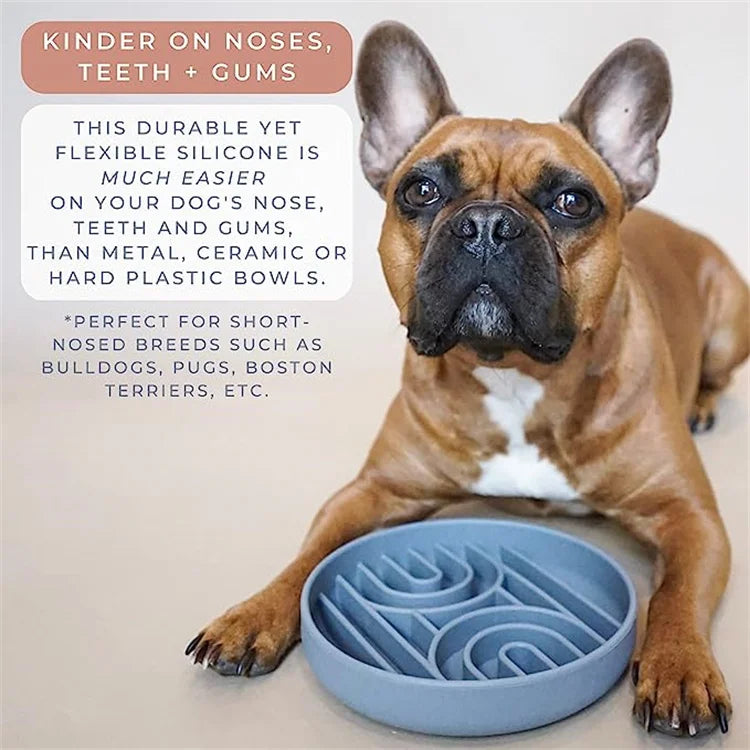 Slow Feeder Pet Bowl – Anti-Slip & Anti-Choking for Cats & Puppies 🐾🍽️