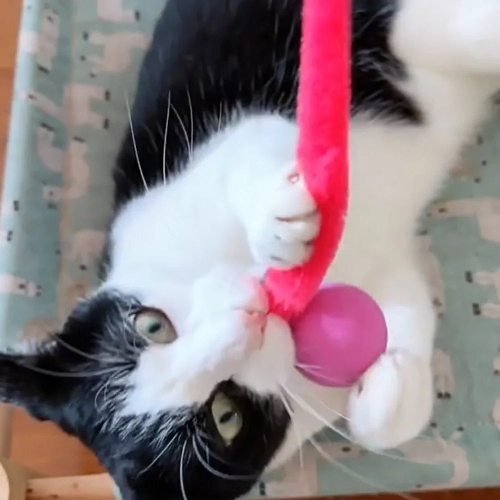 Plush Long Tail Cat Toy – Interactive Ball with Wood Ring for Training