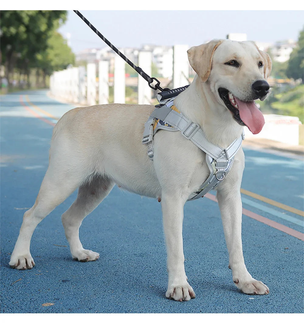 🐾 Multifunctional Reflective Dog Harness – Outdoor Training & Comfort Vest for Medium & Large Dogs