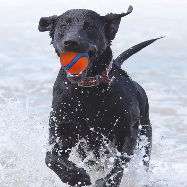 Tough Dog Fetch Ball – Solid Chew & Bouncy Play Toy ⚽🐾