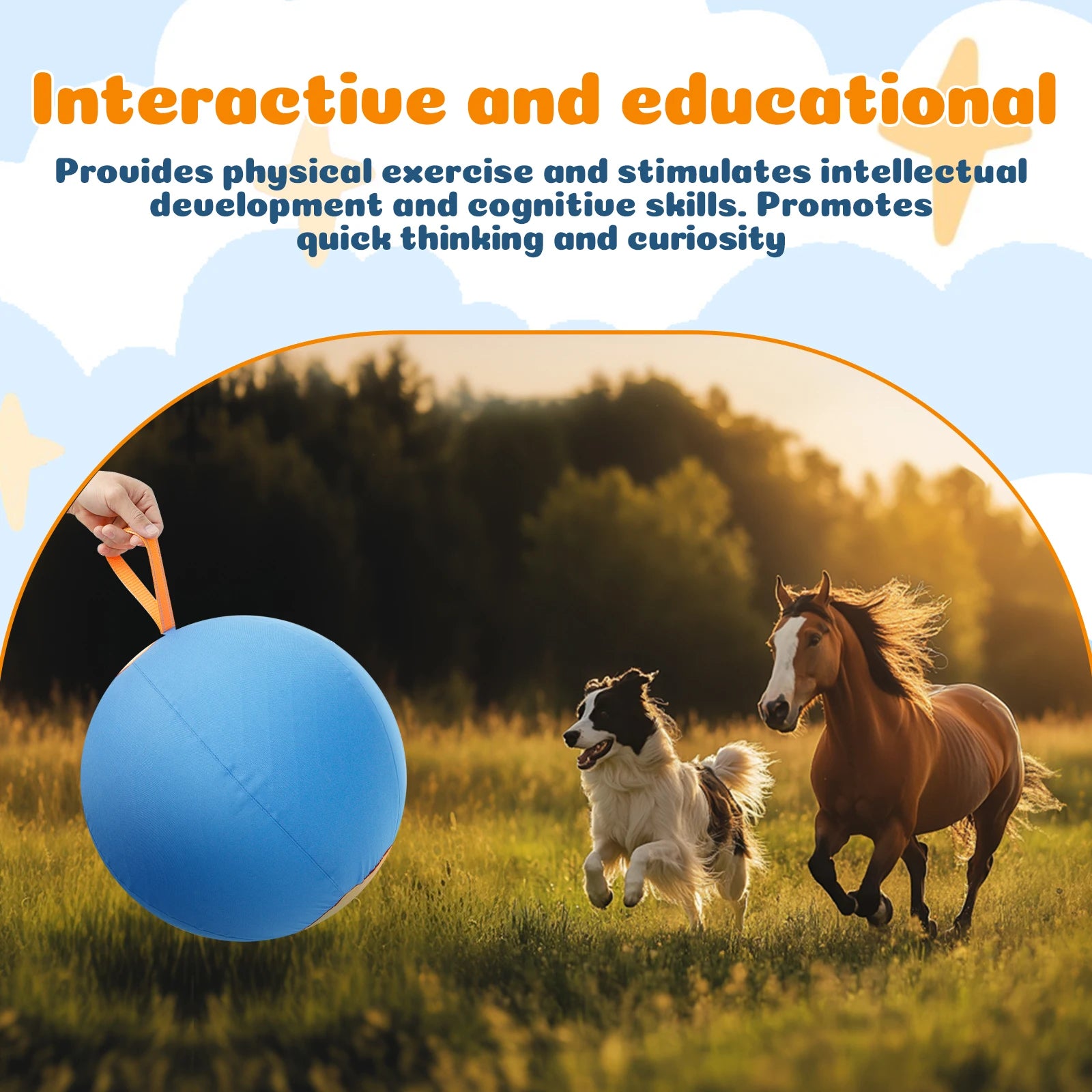 Durable Inflatable Herding Ball for Dogs – Outdoor Interactive Self-Play Training Toy for Active