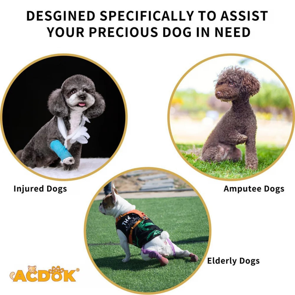 Dog Lift Harness Support Sling – Padded Aid for Disabled & Injured Dogs