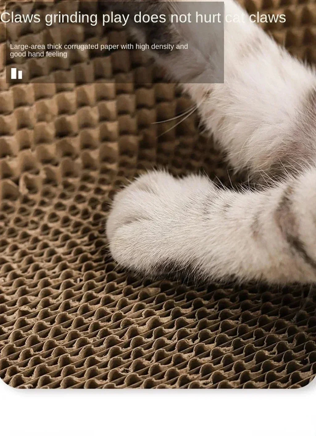 🐱 Oval Cat Scratching Board – Furniture Protector & Cozy Cat Nest