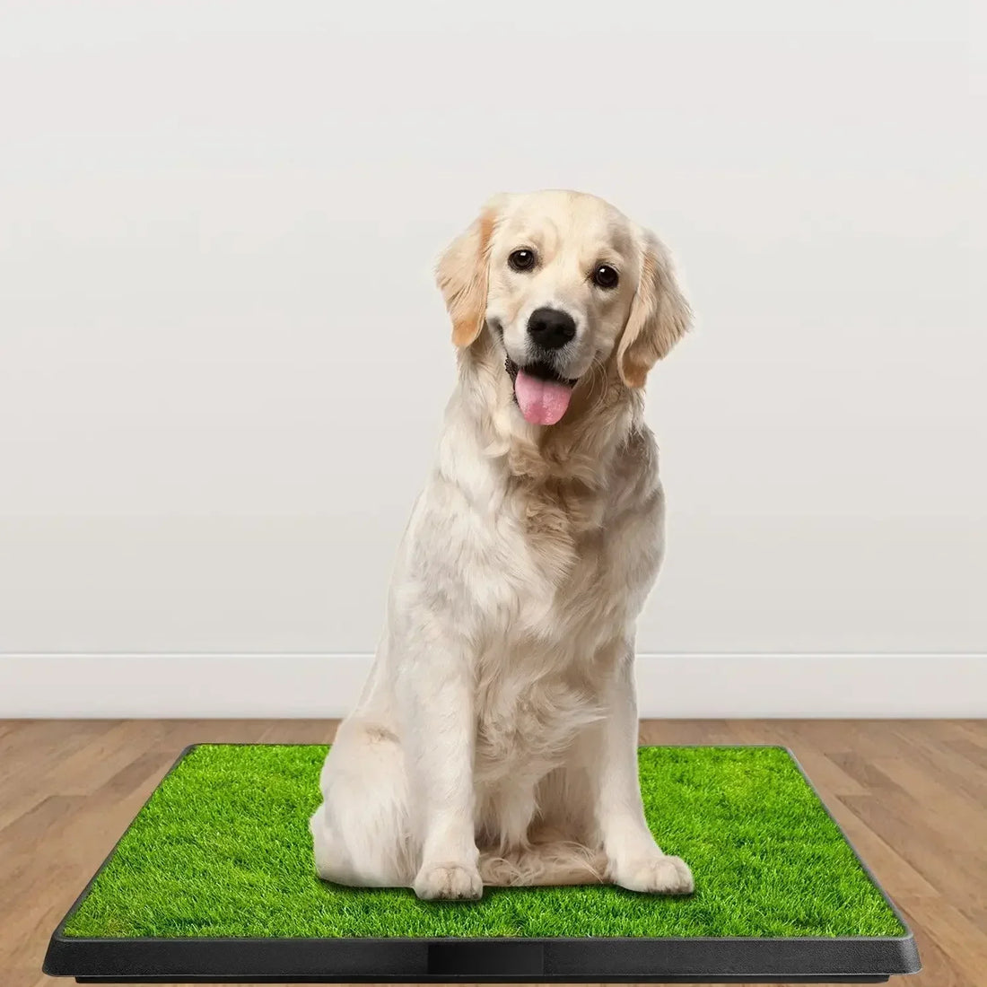 Portable 3-Layer Dog Potty Training Toilet with Synthetic Grass – Anti-Splash Puppy Urine Tray