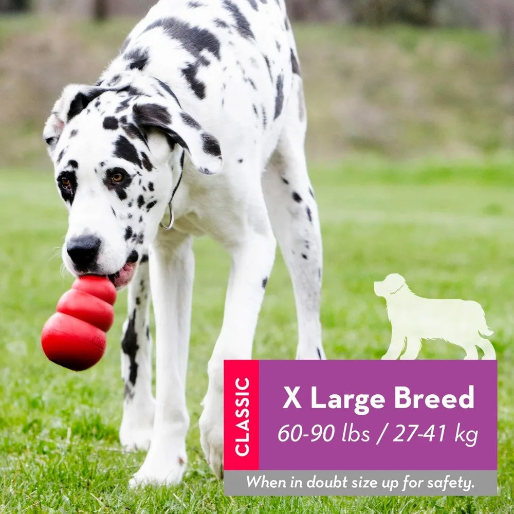 KONG Classic Toy + Ziggies Treats Combo Pack 🦴🐶