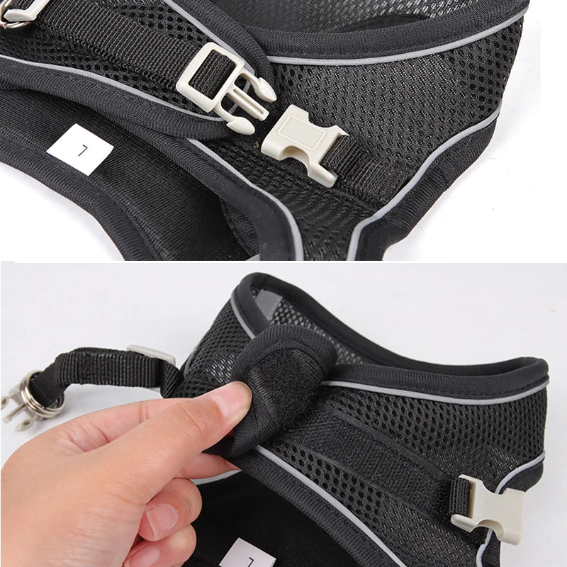 🐾 Adjustable Dog Harness & Leash Set – For Small Dogs, Cats, French Bulldogs, Chihuahuas & Pugs