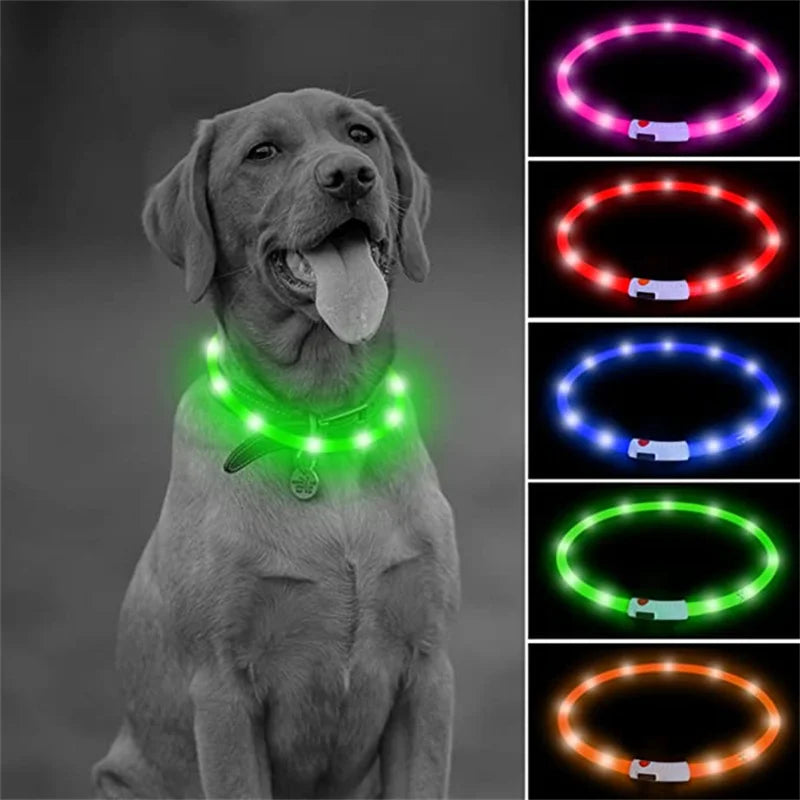 USB Rechargeable LED Glowing Pet Collar – Adjustable Night Light Safety Collar for Dogs & Cats