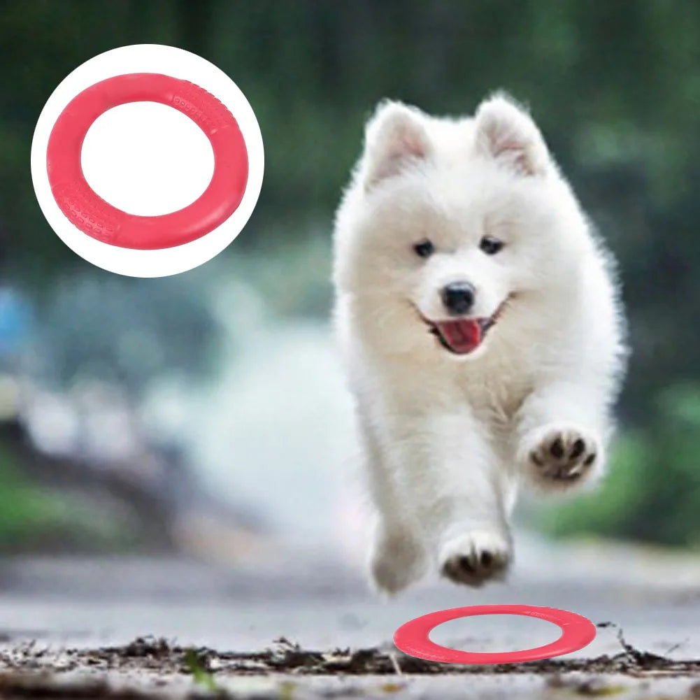 Floating Dog Training Ring – Chew-Resistant Water Toy for Small Dogs