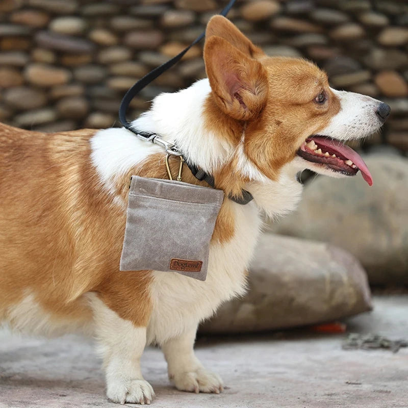 Dog Training Treat Pouch – Portable Outdoor Snack Bag for Pets with Oil-Resistant Interior