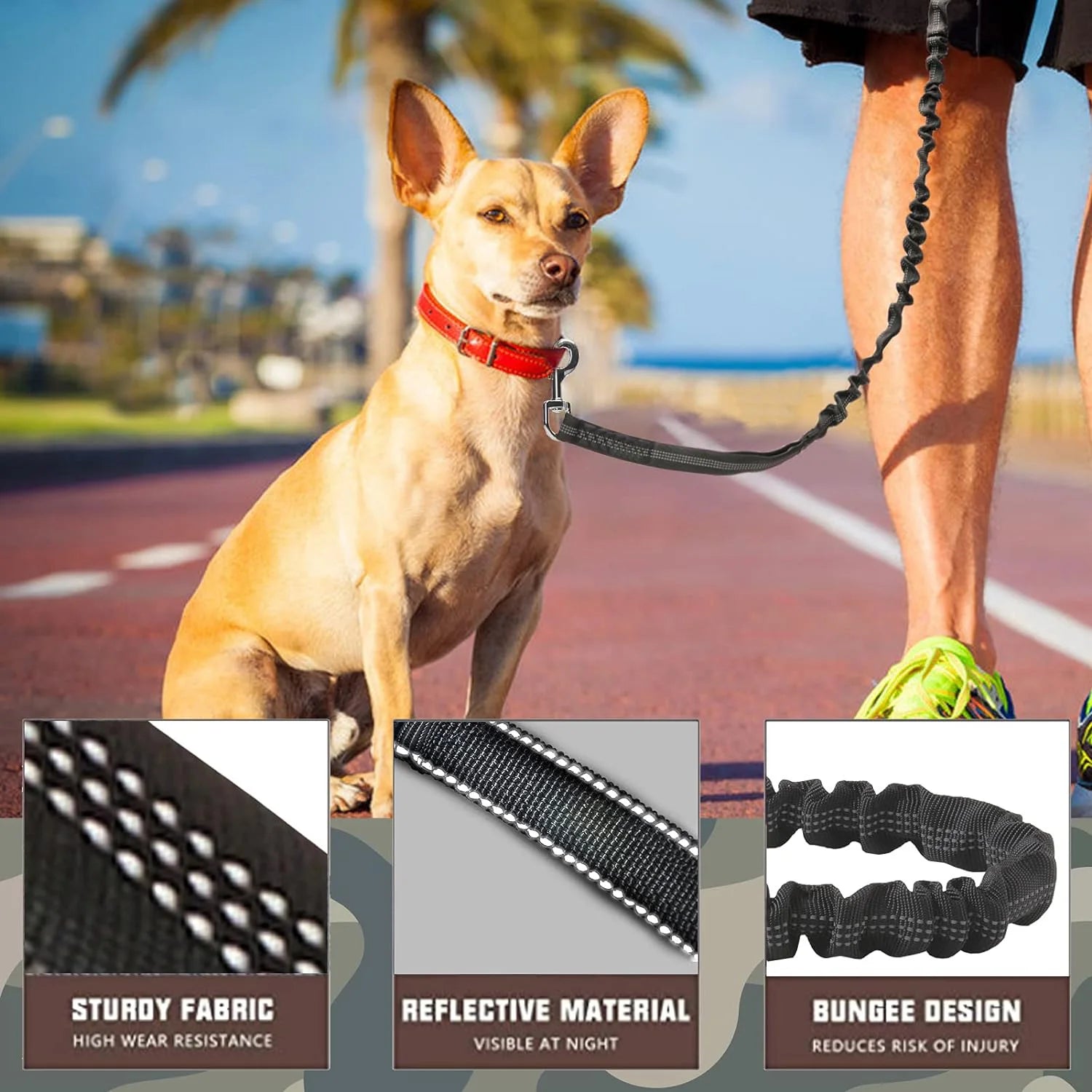 Bungee Dog Leash for Large Dogs – Heavy Duty, Shock-Absorbing, No-Pull Lead