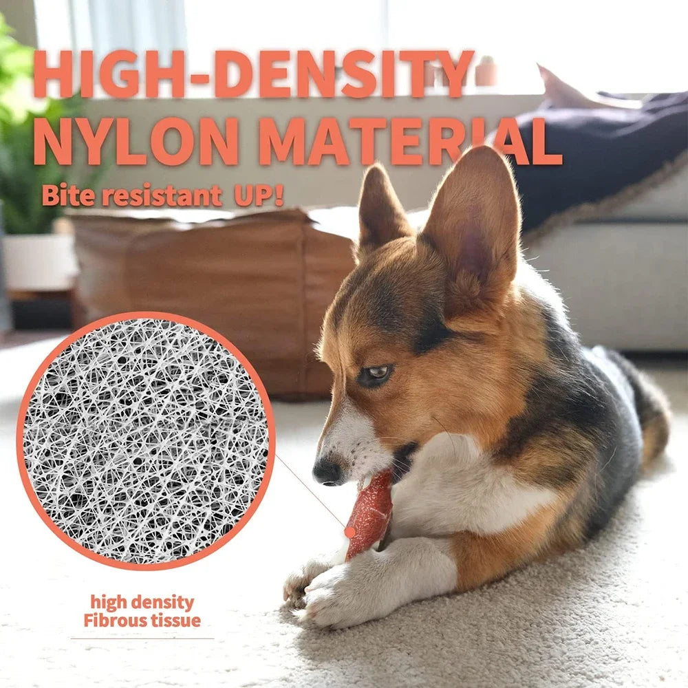 For Paws™ Nearly Indestructible Dog Bone – Beef-Flavored Nylon Chew Toy for Aggressive Chewers