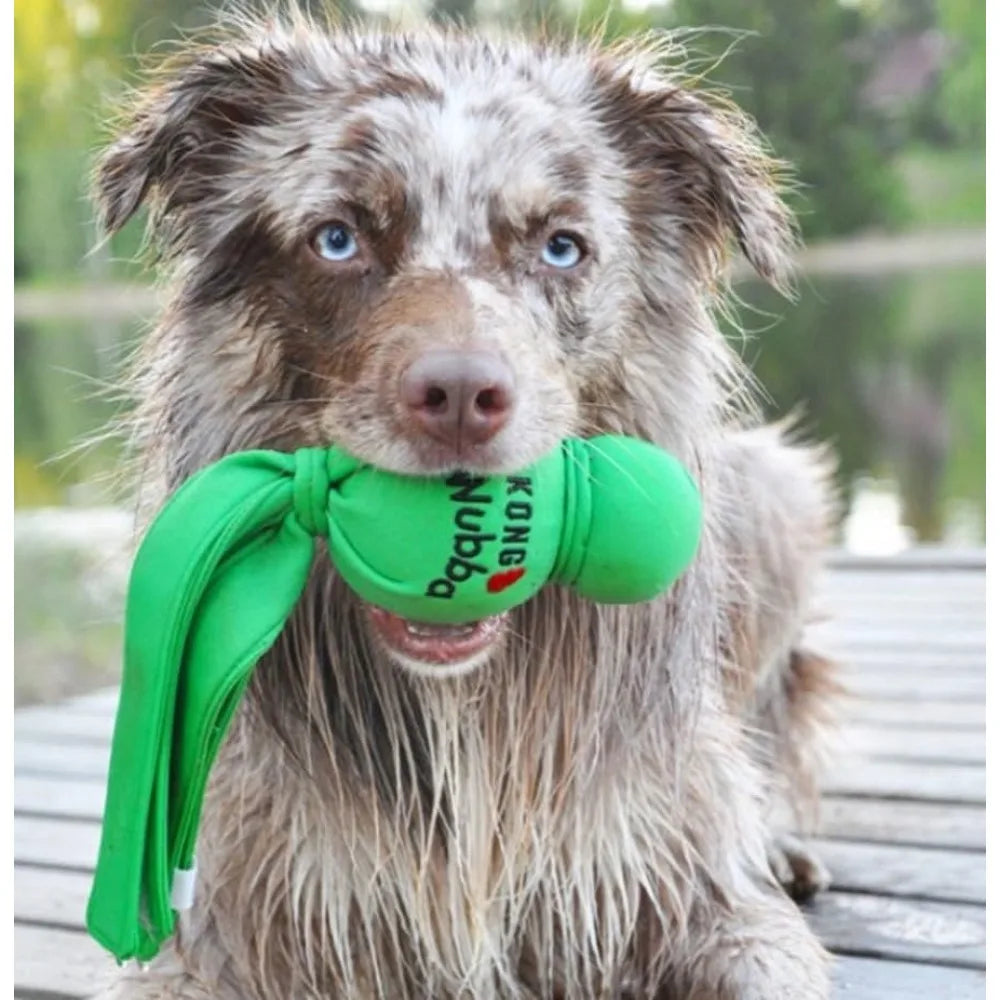 KONG Wubba Wet 2-Pack (XL) – Floating Water Dog Toys 🌊🐶