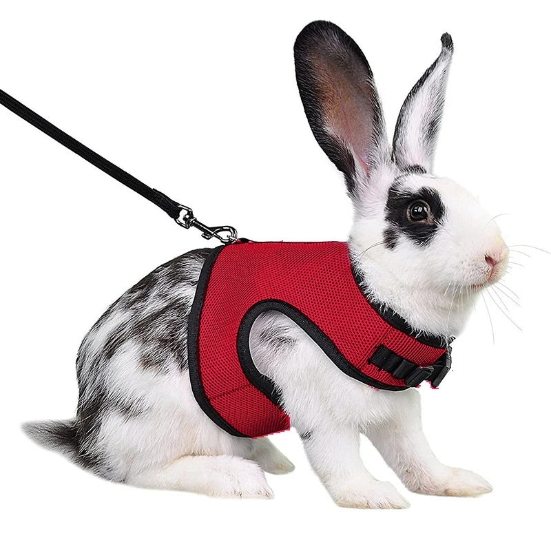 Breathable Pet Vest Harness & Leash Set – Adjustable for Rabbits & Small Pets