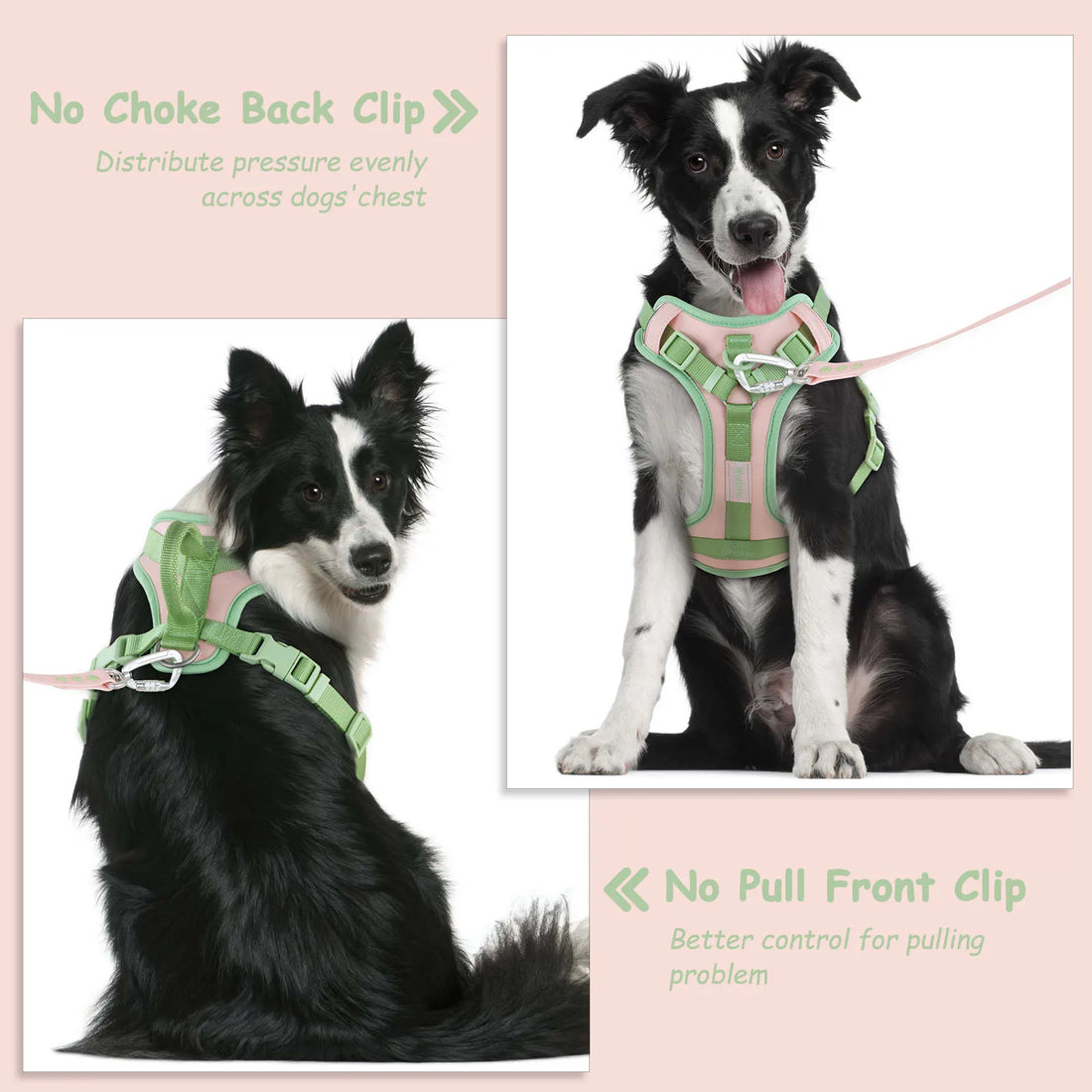 Splicing Color Dog Harness – No-Pull, Adjustable & Personalized