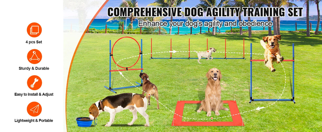 Dog Agility Training Set – 4 PCS Hurdles, Poles, Ring & Box 🐾🏃‍♂️