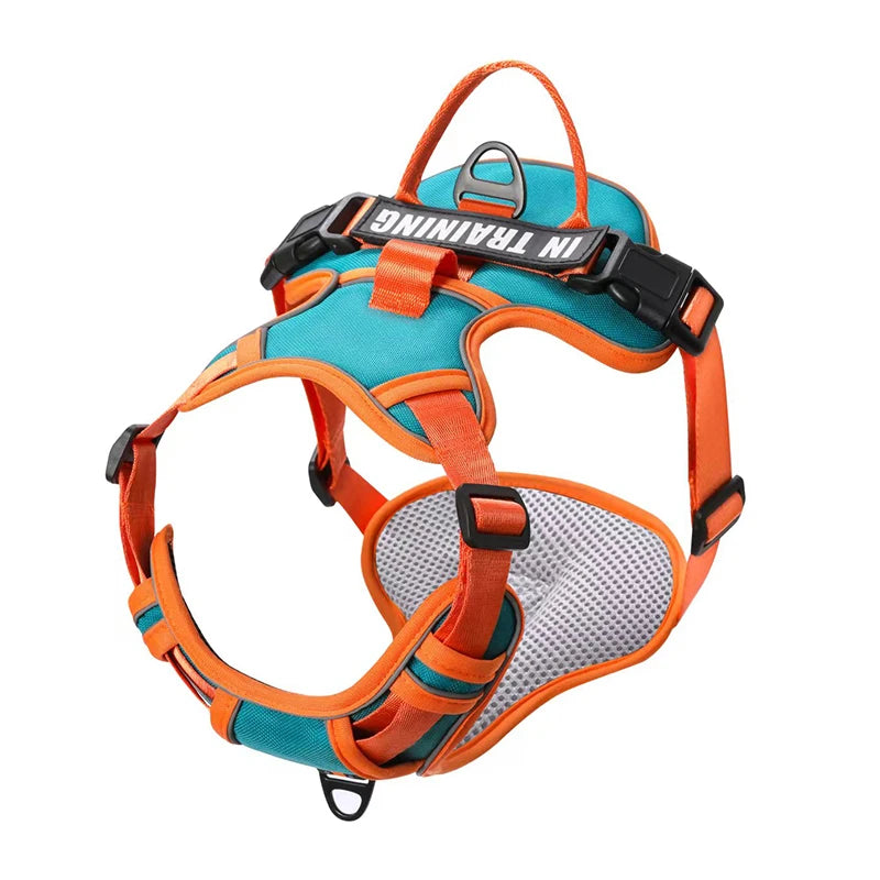 🐾 Personalized Nylon Adjustable Dog Harness – Reflective, Breathable Vest with Leash for Small, Medium & Large Dogs