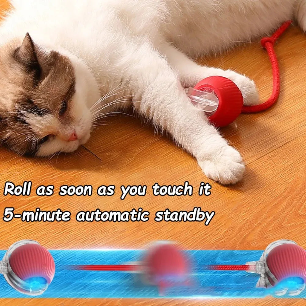 Smart Rolling Cat Toy – Rechargeable Ball with Faux Tail & Mouse Simulation