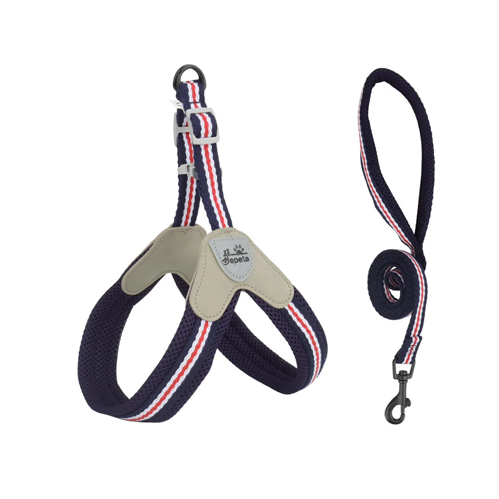 🐾 Vest Style Dog Harness & Leash Set – Adjustable Chest Strap for Small & Medium Dogs