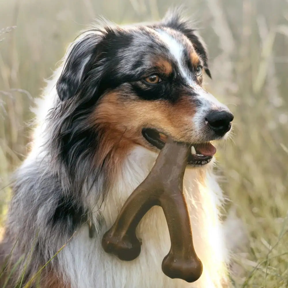 Durable Nylon Dog Chew Bone – Bite-Resistant Stick Toy 🐾🦴