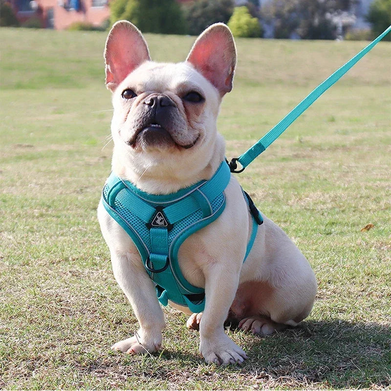 🐾 No Pull Dog Harness & Leash Set – Reflective Adjustable Mesh Vest for Small Dogs & Cats
