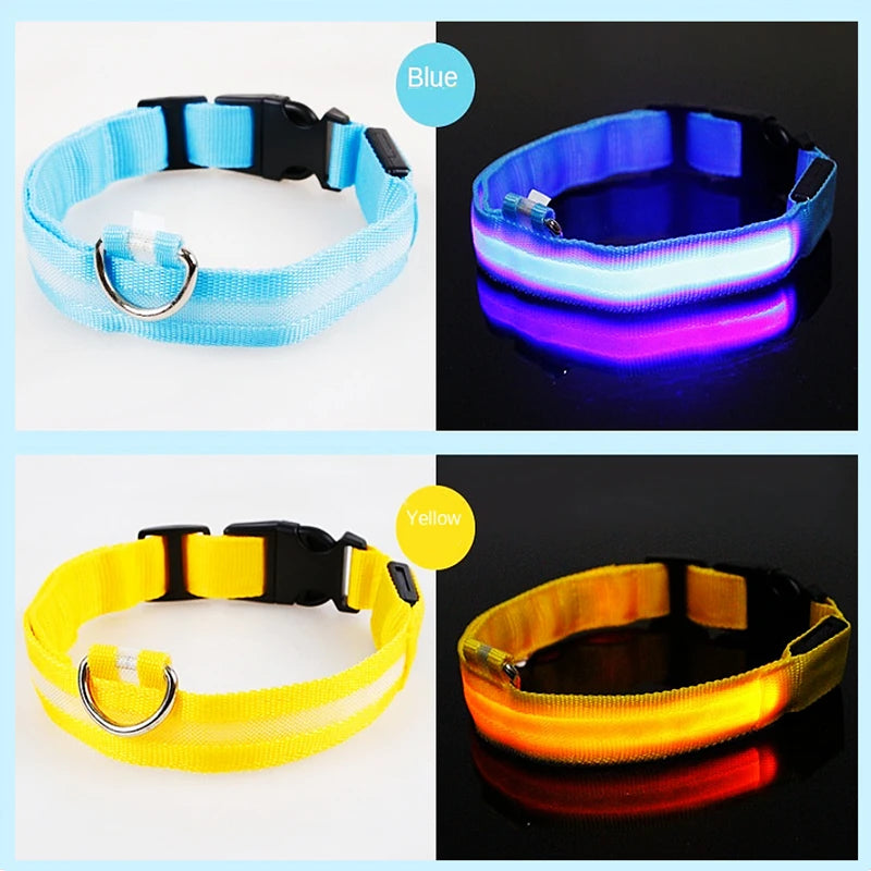 USB Rechargeable LED Glowing Pet Collar – Adjustable Night Light Safety Collar for Dogs & Cats