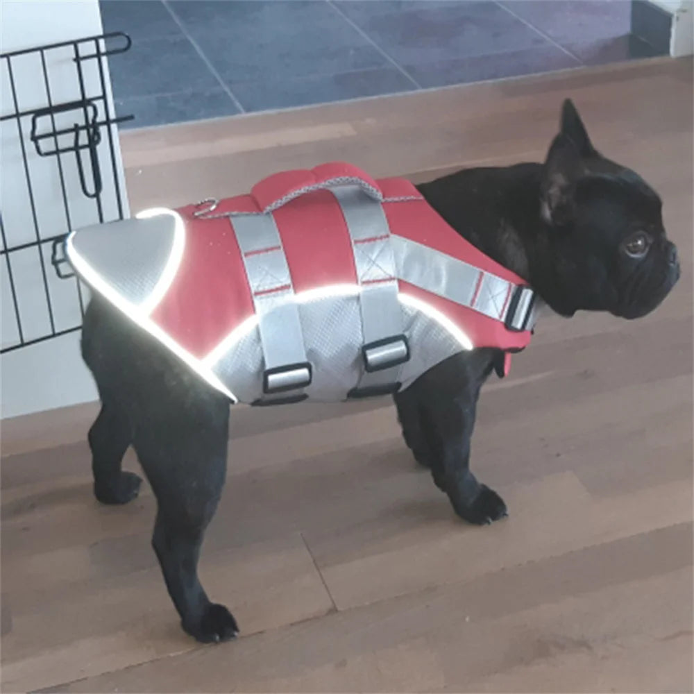 🐶 Dog Life Jacket with Handle & Pull Ring – Summer Safety Swimsuit for Small & Medium Dogs